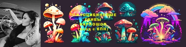 дурь Алексин