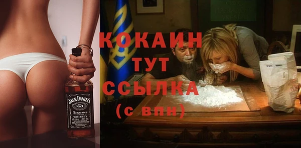 крисы Алзамай