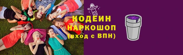 дурь Алексин