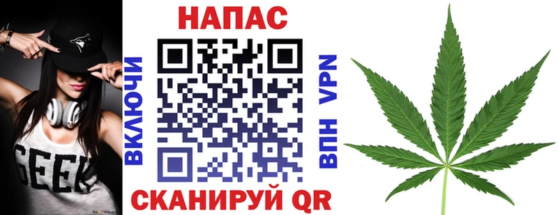 Бошки Шишки OG Kush  купить наркотики цена  Пикалёво 